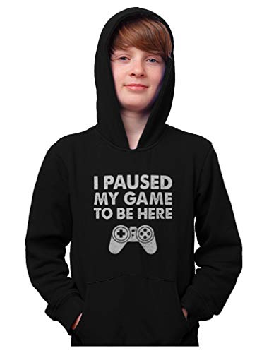 I Paused My Game to Be Here Funny Gift for Gamer Youth Hoodie