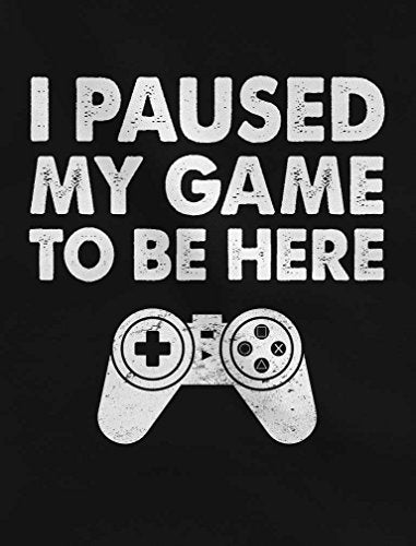 I Paused My Game to Be Here Funny Gift for Gamer Youth Hoodie